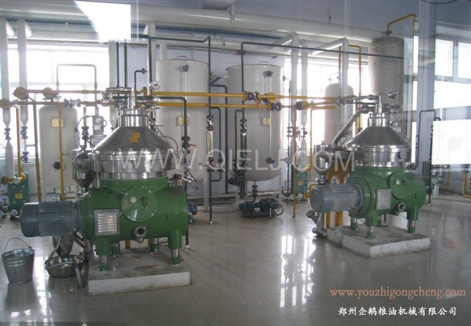 大果紅花油茶設備，茶油精煉成套設備(圖1)